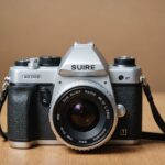 Séjour en plein air en camargue : entre mer et marais du gard